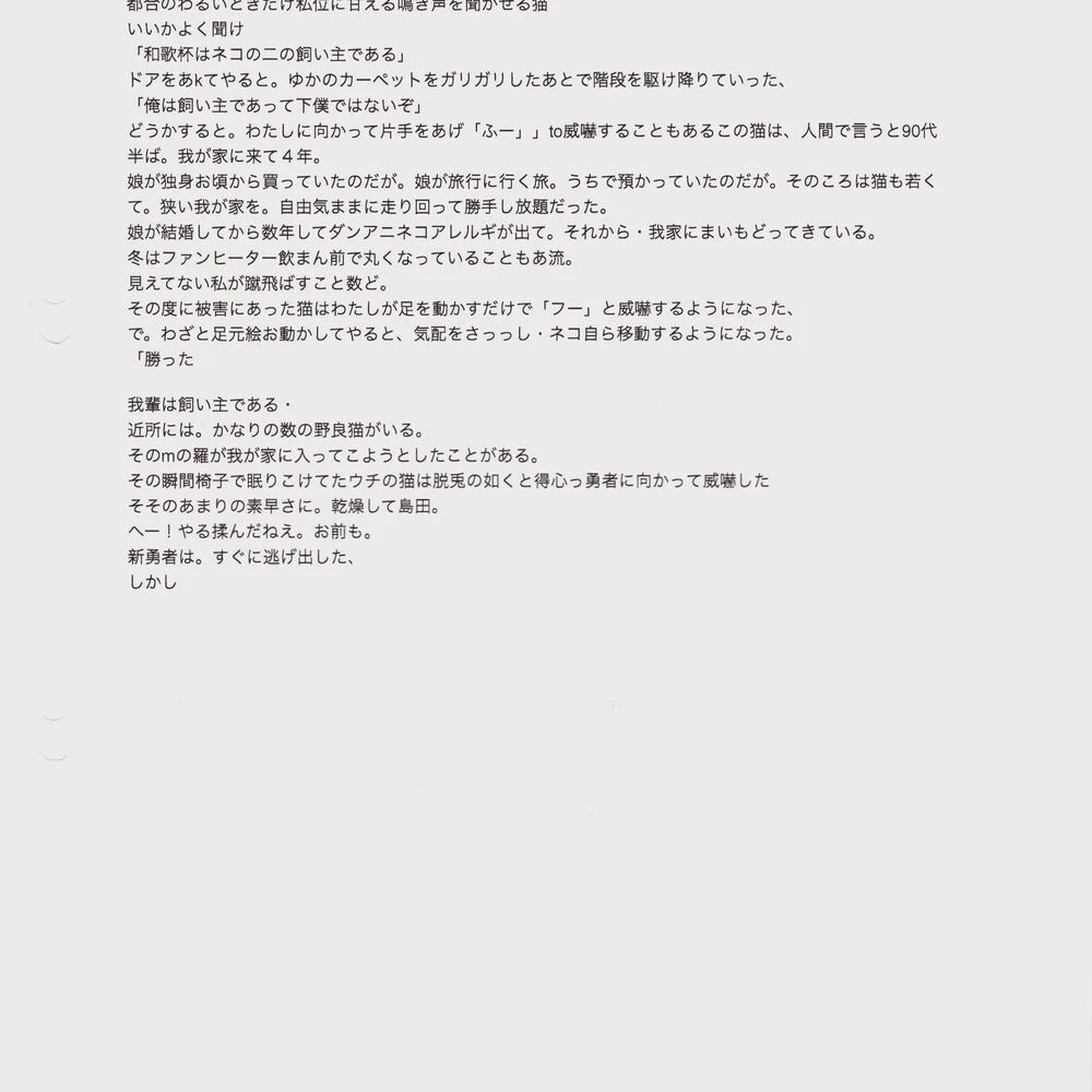 ブログ画像