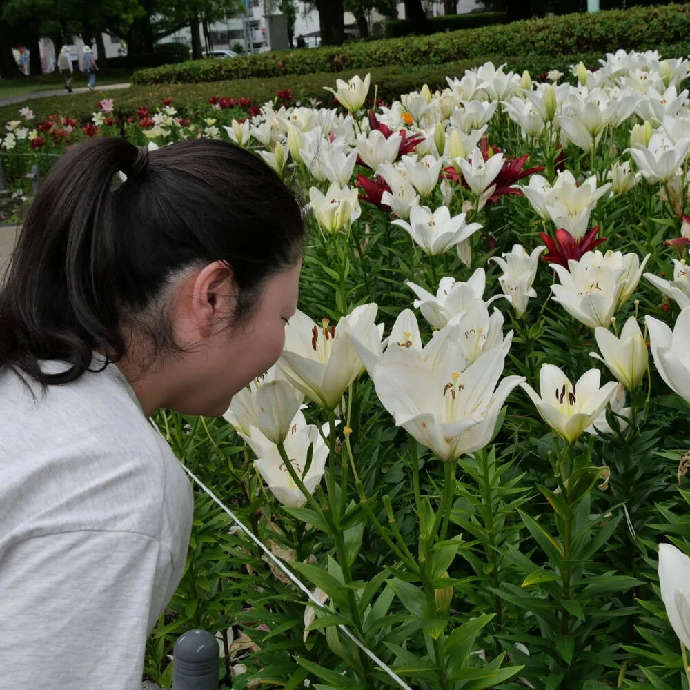 ブログ画像