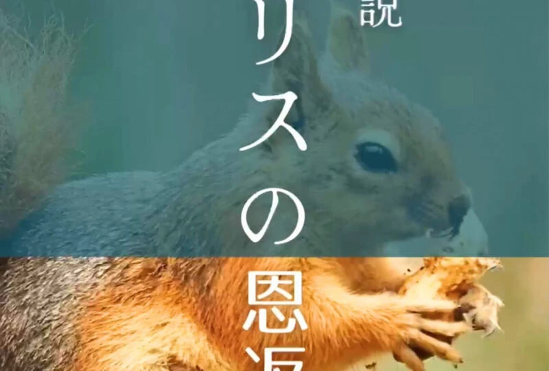 動画サムネイル